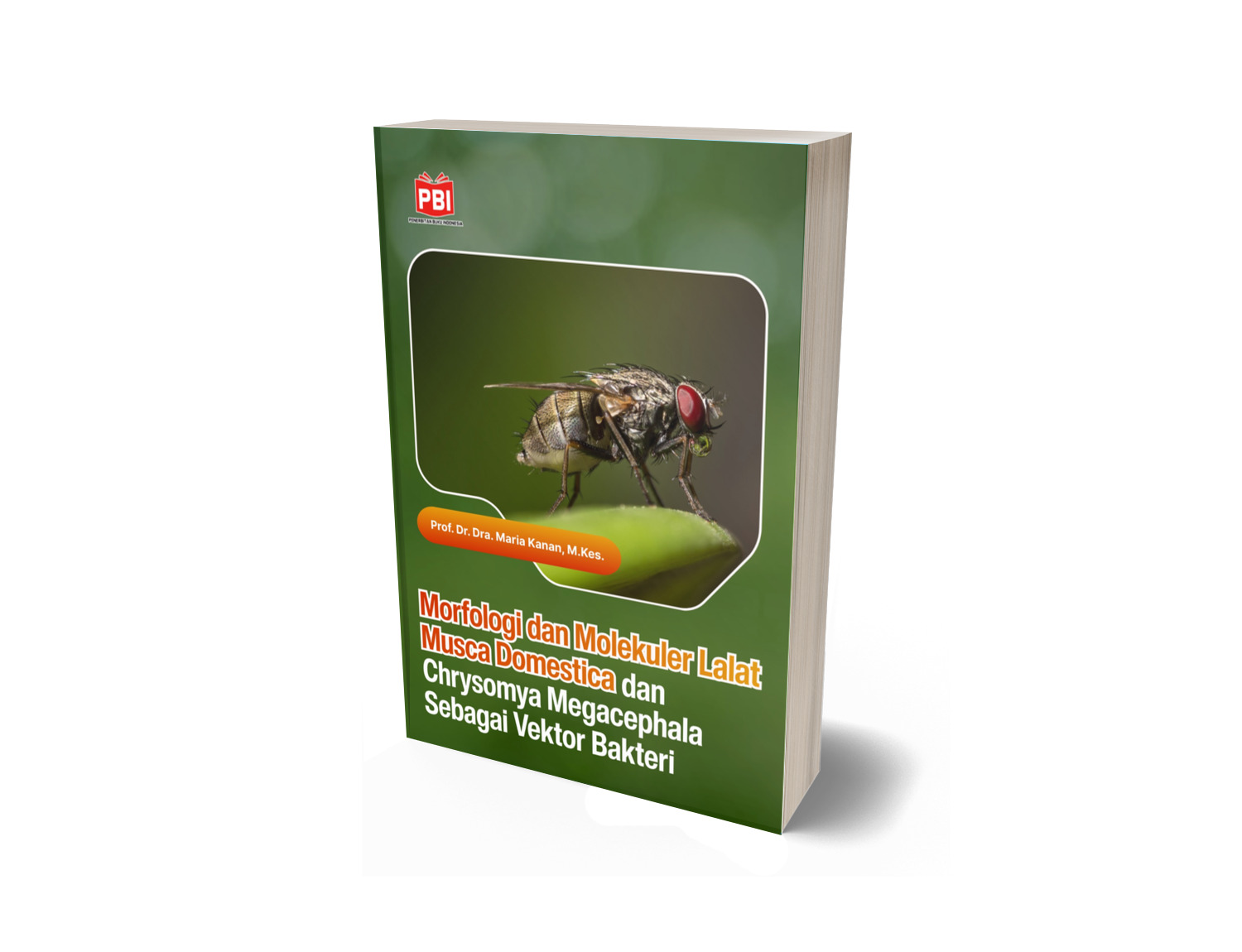 MORFOLOGI DAN MOLEKULER LALAT Musca domestica DAN Chrysomya megacephala ...